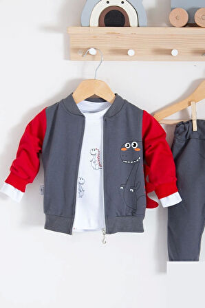 3-18 Ay Erkek Bebek Takımı Dinazor Hırkalı 3'lü Kırmızı