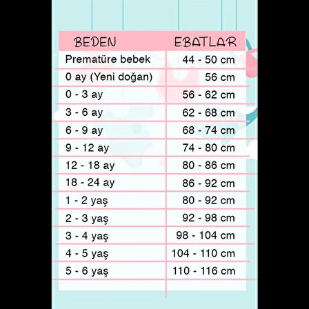 3-12 Ay FİSTO ETEKLİ BADİ Somon