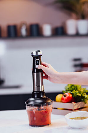 Nell YH9915 Speedy Pro El Blenderi SET