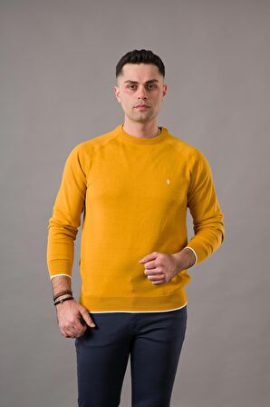 SAN&FA REGULAR FİT BİSİKLET YAKA PAMUKLU ERKEK TRİKO KAZAK