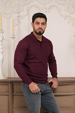 Woolen World Polo Yaka Slimfit Desenli Yünlü Erkek Triko Kazak  