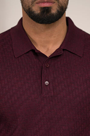 Woolen World Polo Yaka Slimfit Desenli Yünlü Erkek Triko Kazak  