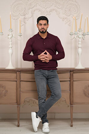 Woolen World Polo Yaka Slimfit Desenli Yünlü Erkek Triko Kazak  