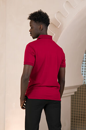 Paul Martin Örme Polo Yaka Regular Fit Pamuklu Ve Likralı T-shirt