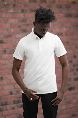 Advante Regular Fit Likralı Kendinden Desenli Polo Yaka T-shirt