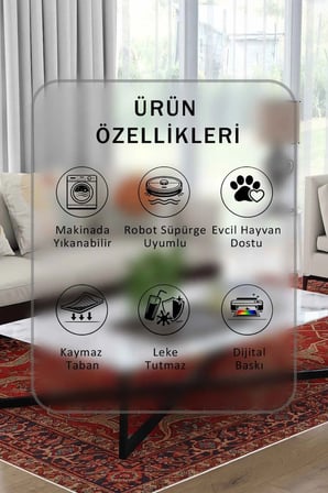 Yıkanabilir Kaymaz Taban Dijital Baskılı Halı ve Yolluk – Leke Tutmaz Salon & Mutfak Halısı