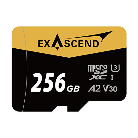 Exascend 256GB Catalyst Uhs-I Microsdxc Hafıza Kartı