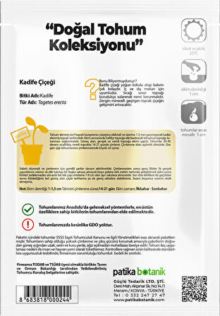 50 Adet Bodur Kadife Çiçek Tohumu (Tagetes L.)