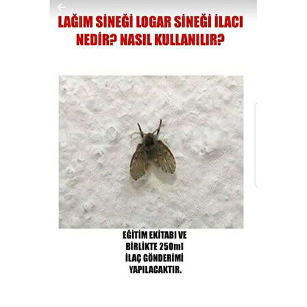 Tuvalet sineği ilacı