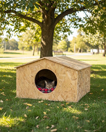 Reyo Kedi Evi Dış Ortam Uygun Ahşap Kedi Evi OSB 50x50x35 cm - CAT17