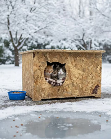 Reyo Kedi Evi Dış Ortam Uygun Ahşap Kedi Evi OSB 50x35x30 cm - CAT13