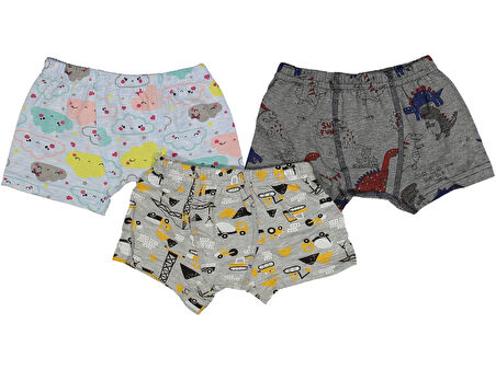 DESENLİ ERKEK BOXER (3 ADET)