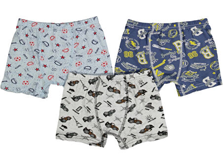 DESENLİ ERKEK BOXER (3 ADET)