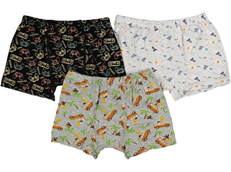 DESENLİ ERKEK BOXER (3 ADET)