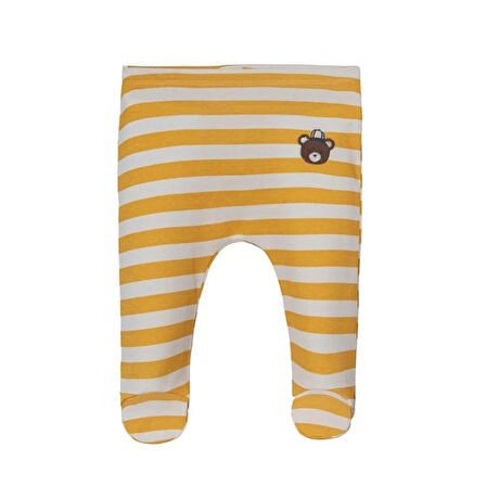 COLORFUL PATİKLİ ERKEK TEK ALT (3'LÜ SET)