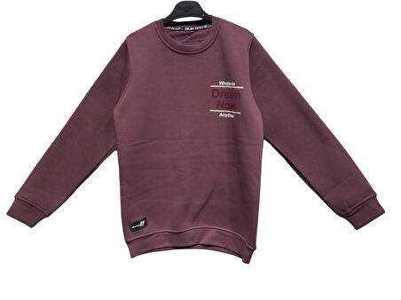 DREAM NOW BASKILI ERKEK SWEATSHIRT