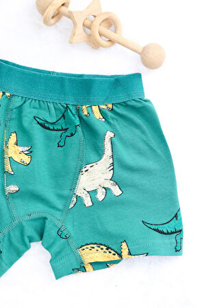 Erkek Çocuk Pamuklu Sevimli Hayvan Desenli Desen 6'li Paket Boxer