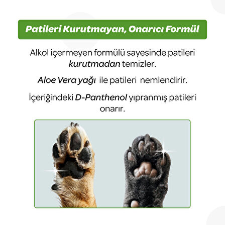 Vet's Plus Kedi ve Köpekler İçin Aloe Vera Özlü Pati Temizleme Köpüğü 150ml