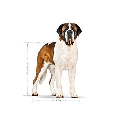 Royal Canin Dev Irklar için Yetişkin Köpek Maması 15 Kg