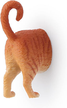 6'lı Kedi Magnet