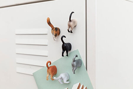 6'lı Kedi Magnet