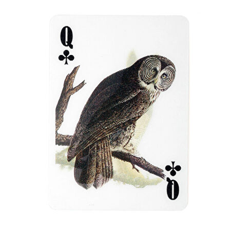 Kikkerland Kuş 3D Oyun Kartı