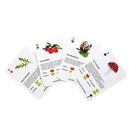 Kikkerland Bitkiler Oyun Kartı