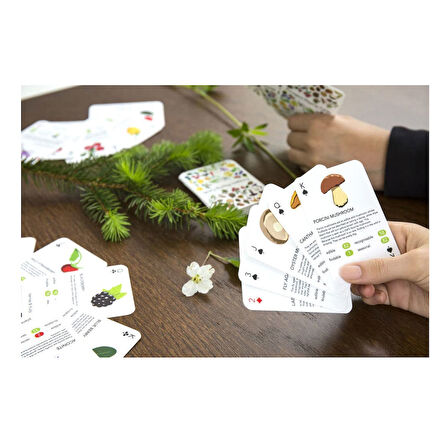 Kikkerland Bitkiler Oyun Kartı