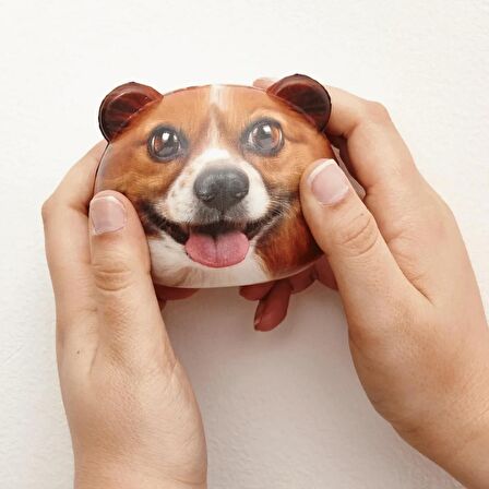 Kikkerland 2'Li Köpek Stres Topu