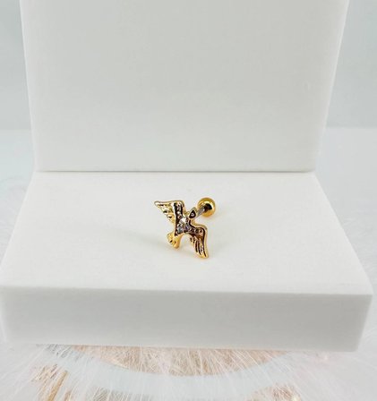 Tragus Kıkırdak Küpesi