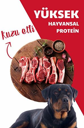 HerbaMax Kuzu Etli ve Pirinçli Yetişkin Köpek Maması 20Kg (2x10Kg)