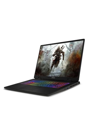 SWORD 17 HX i7-14700HX 48GB 1TB SSD RTX4060/8GB 105W 17" FHD+ 165HZ W11P B14VFKG & PER4 ÇANTA
