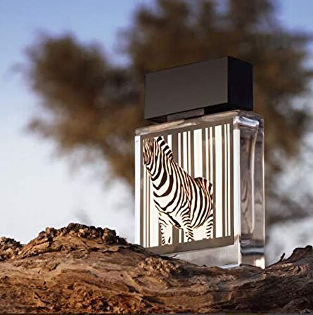 Rasasi Rumz Al Rasasi 9325 Pour Elle 50 ml edp erkek parfüm