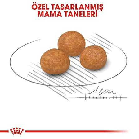 Royal Canin Çok Küçük Irklar için Kuru Köpek Maması 3Kg