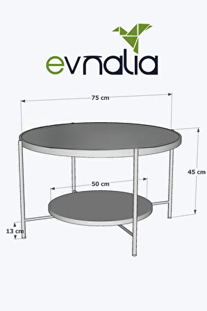 Nordic Orta Sehpa Temperli Cam 75 cm Demonte Çizilmez Kırılmaz Metal Çerçeve Raflı Minimalist Sehpa