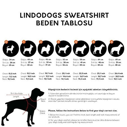 Lindo Jurassic Dog Köpek Sweatshirt Beden 4