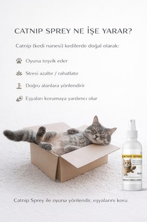 Catnip Oyun ve Sakinleştirici Sprey Kedi Tırmalama Tahtası İçin Doğal Dikkat Çekici Eğitim Spreyi