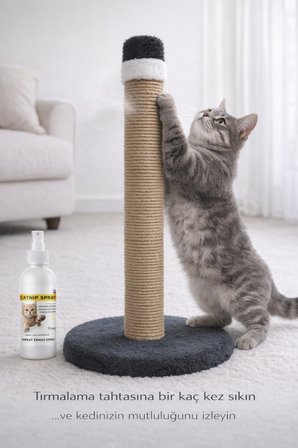 Catnip Oyun ve Sakinleştirici Sprey Kedi Tırmalama Tahtası İçin Doğal Dikkat Çekici Eğitim Spreyi
