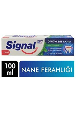 SİGNAL ÇÜRÜKLERE KARŞI NANE 100 ML 12 ADET 