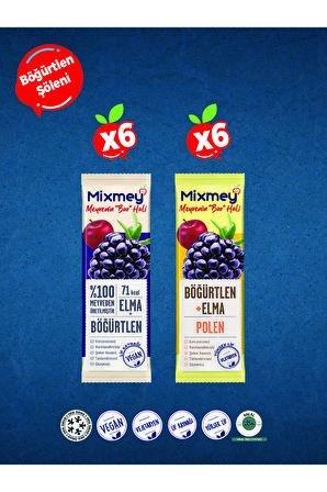 Mixmey Erik Şöleni Meyve Bar 12 Adet | Glutensiz Ve Sağlıklı Atıştırmalık - 20gr X 12 Adet