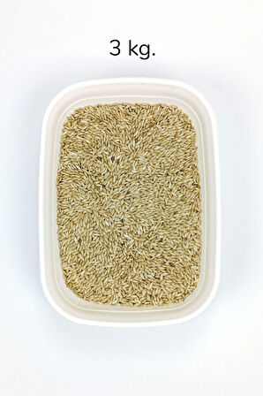 Doğal Taze Kanarya Sade Kuş Yemi - 3 kg
