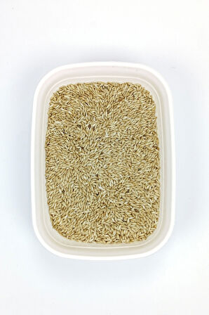 Doğal Taze Kanarya Sade Kuş Yemi - 3 kg