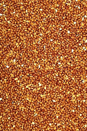 Kırmızı Darı Sade Tozsuz Doğal Taze Kuş Yemi - 3 kg
