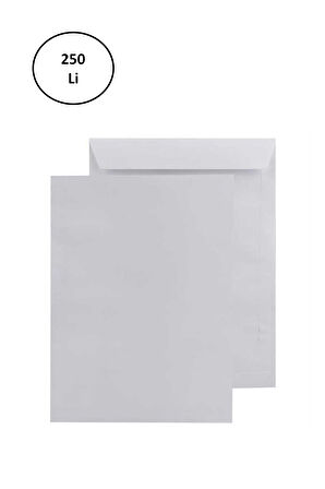 Asil Doğan As-0853 1. Hamur Torba Zarf Extra Silikonlu 24X32 110 Gr Beyaz 250'li