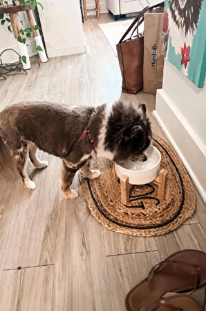 MatGo Pati Kedi Köpek Beslenme Mama Su Kabı Seramik Kaseli 500Ml Hacimli Şık ve Hijyenik 2’li Set