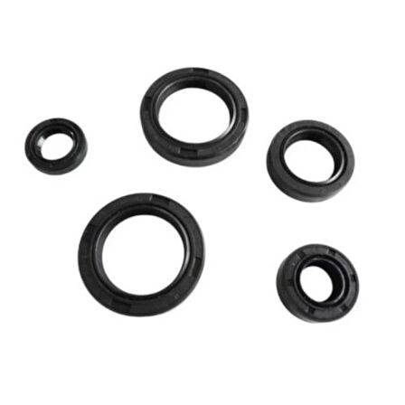 MSR Keçe Seti 5'li - Honda PCX 125,150