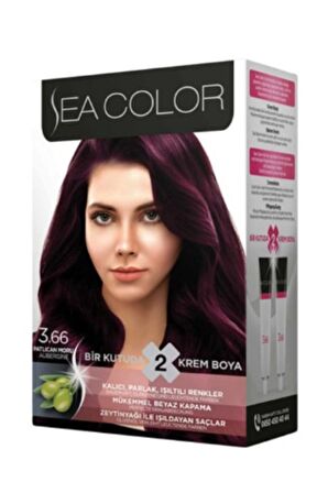 Sea Color Patlıcan Moru 3/66 Saç Boyası 100 ml