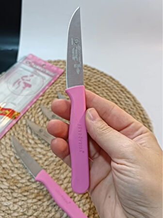 Sürdövbisa 61010 6'lı Meyve Seti (Sivri Uç ) Pembe