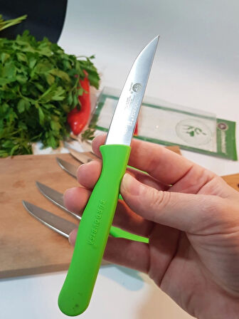 Sürdövbisa 61010 6'lı Meyve Seti (Sivri Uç ) Yeşil