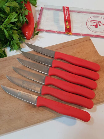 Sürdövbisa 61010 6'lı Meyve Seti (Sivri Uç ) Kırmızı